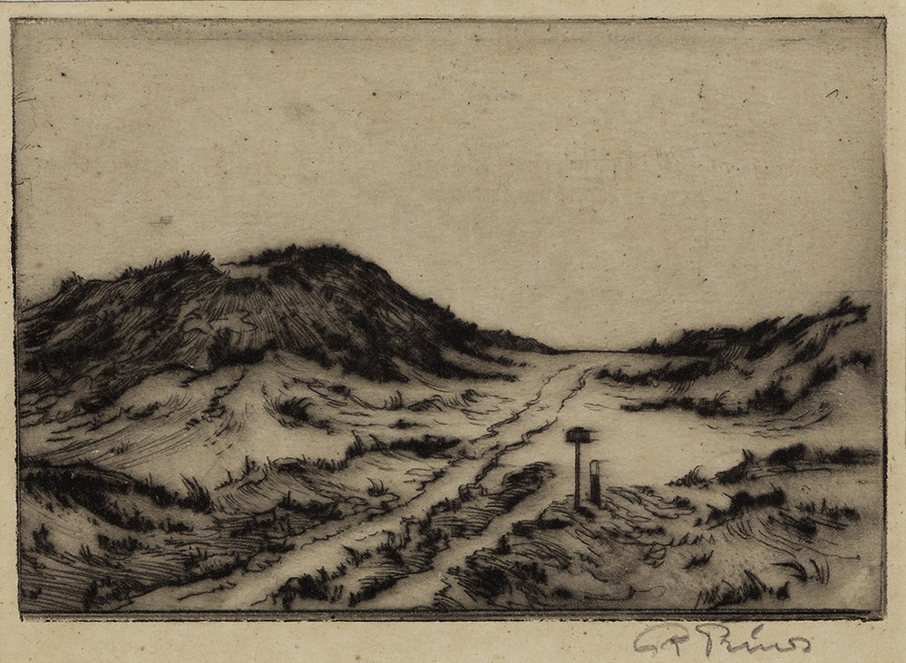 Duinlandschap Terschelling