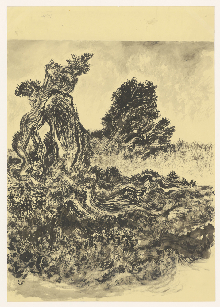 Landschap met boomstronk