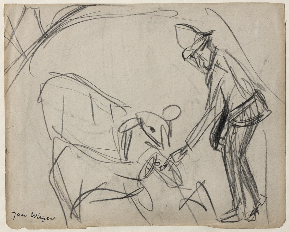 Boer met twee kalven