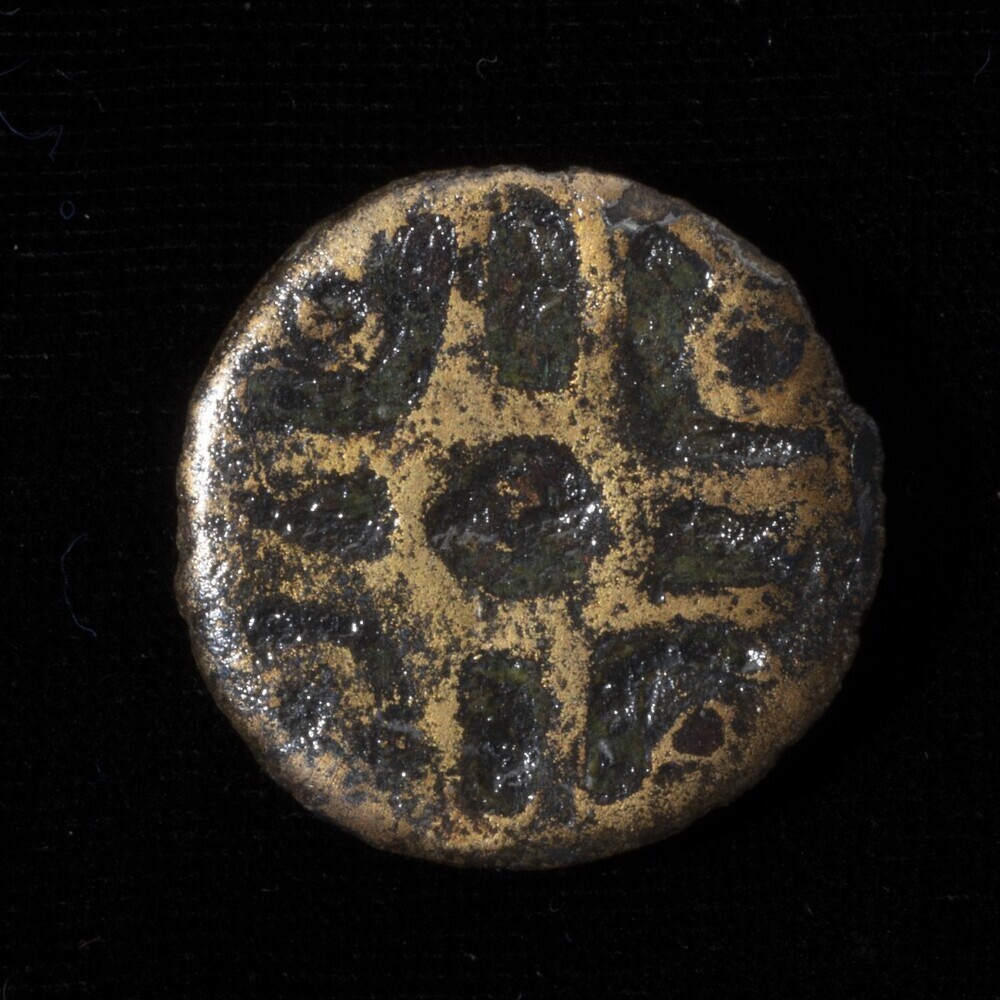 Emailschijffibula (De Weer)