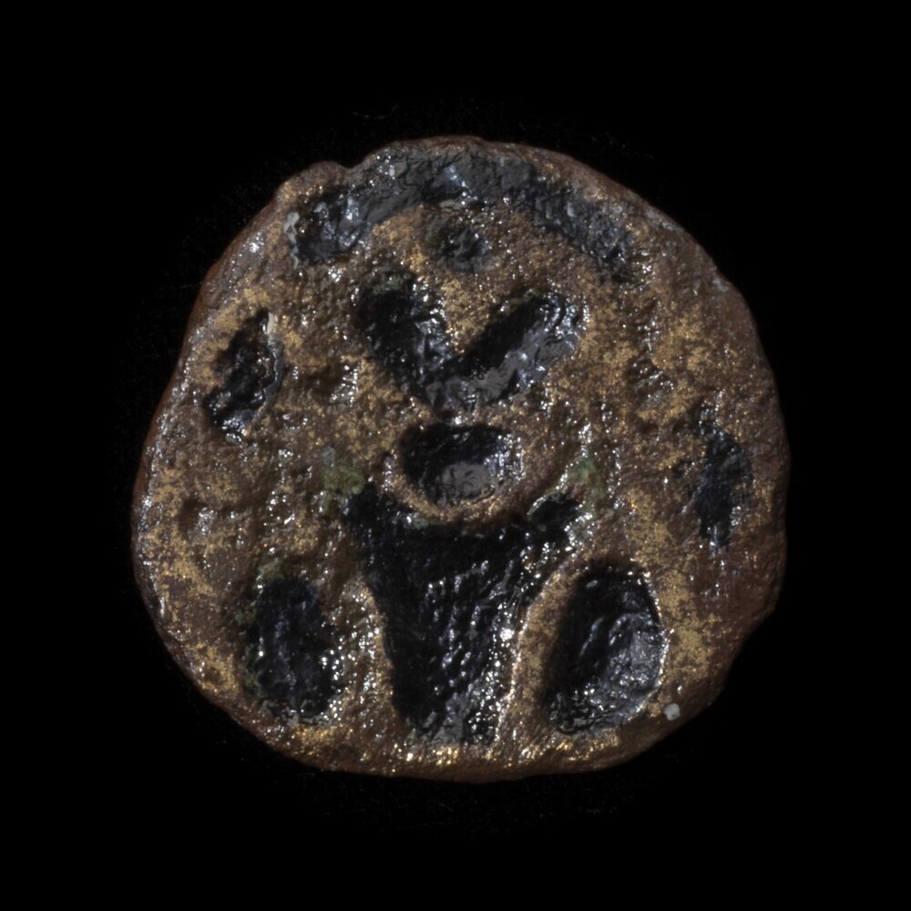 Emailschijffibula (De Weer)