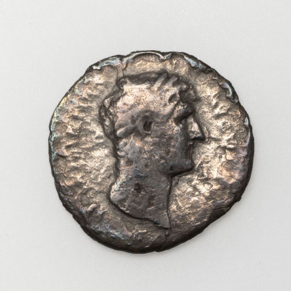 Denarius, Hadrianus (Panser)