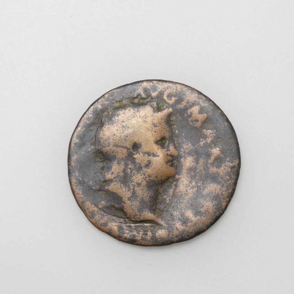 As, Nero, Lyon (Westerwijtwerd)