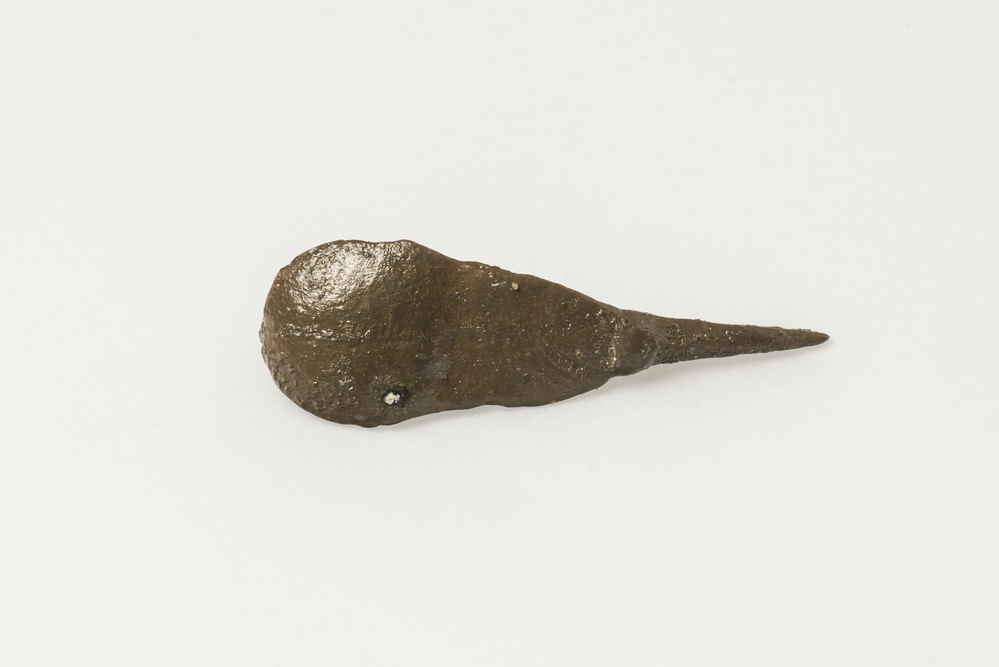 bronzen kapfibula (Westerwijtwerd)