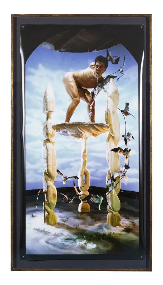 What will the neighbours say