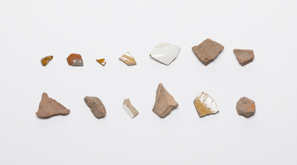 Aus der köhlerin-wiese, april 1987