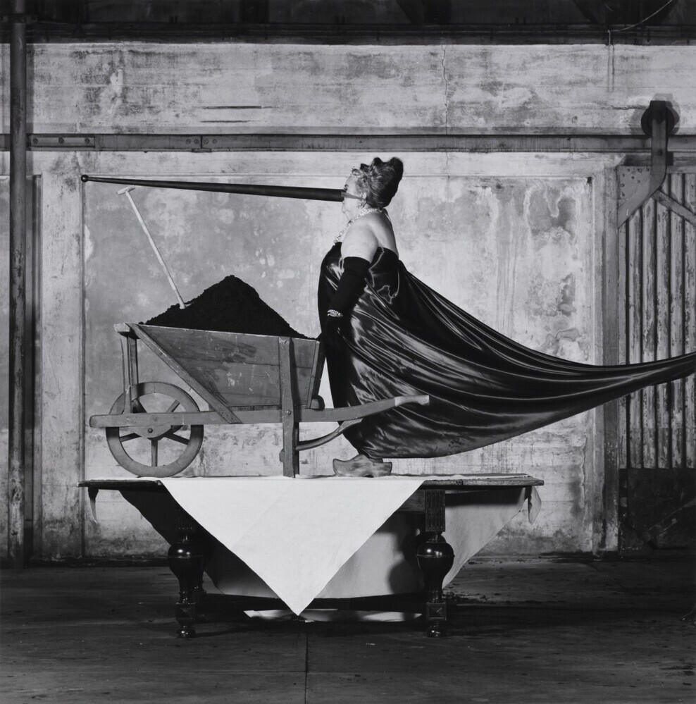 Working Class Heroine (uit de serie: Werk)