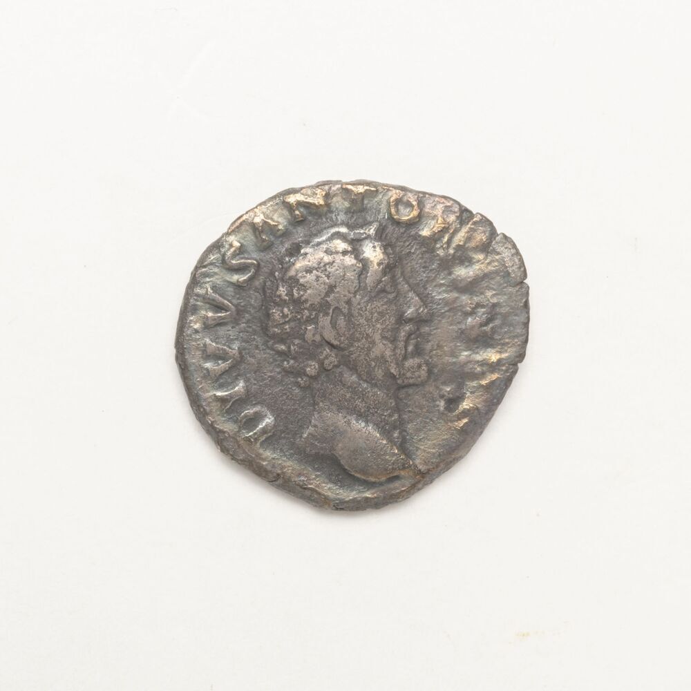 Denarius, Divus Antonius Pius, Rome (Winsum, De Dageraad)
