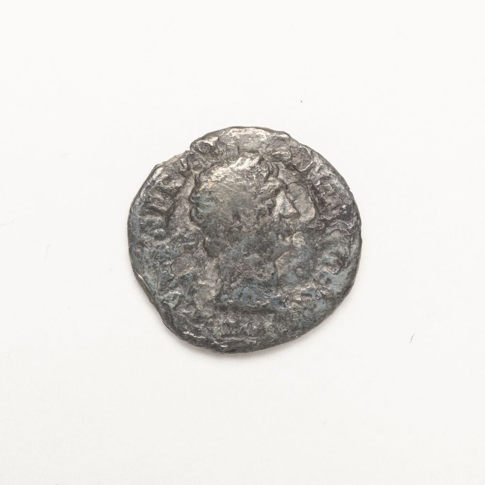 Denarius, Trajanus, Rome (Zuidhorn, Kernwerd)