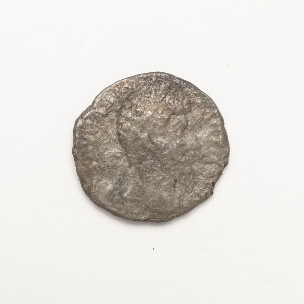 Denarius, Commodus Ceasar, Rome (Zuidhorn, Kernwerd)