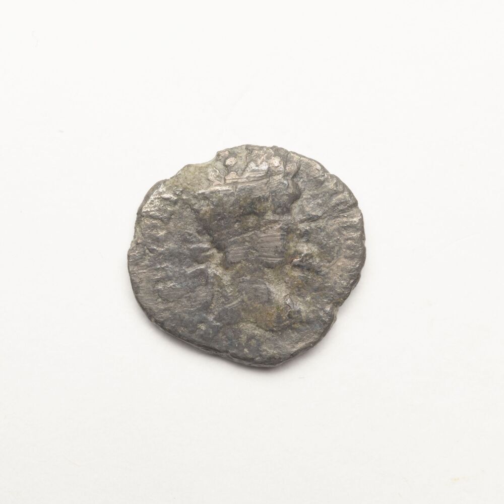 Denarius, Septimus Severus, Rome (Zuidhorn, Kernwerd)