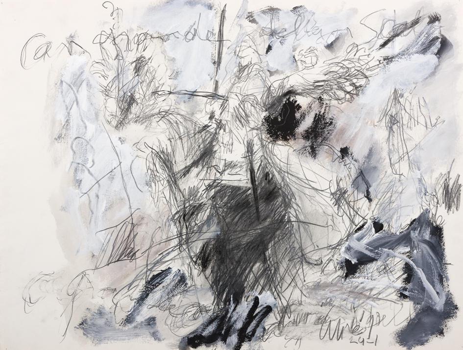 Can grande della scala