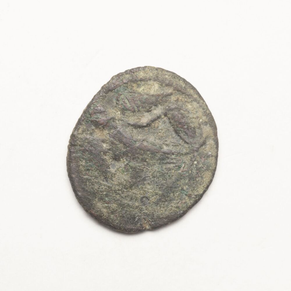 Follis, Constantinopolis (Ten Post)