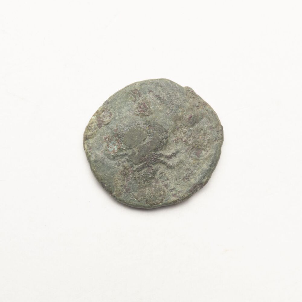 Aes-II, Constantius II, Arles (Ten Post, De Graslanden)