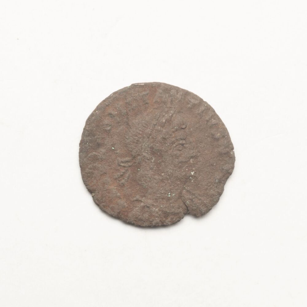 Follis, Constantius II Ceasar (Ten Post, De Graslanden)