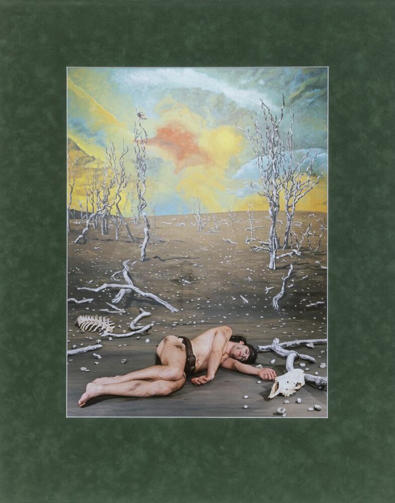 In der Wüste Licornias