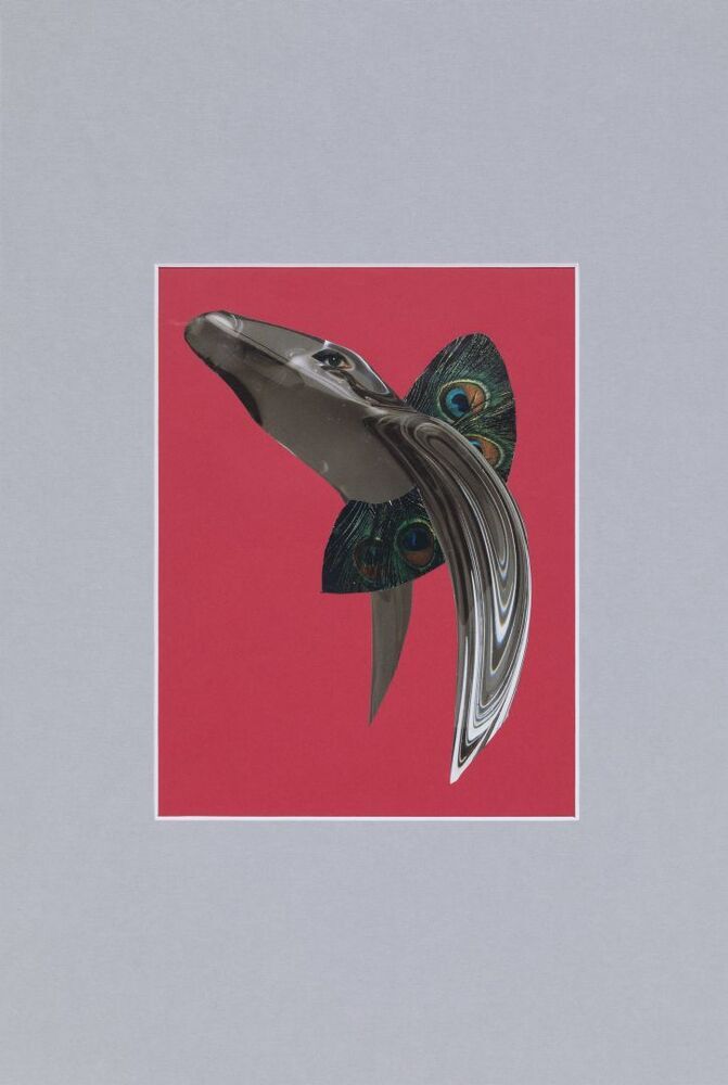 L'oiseux des rêves merveilleux