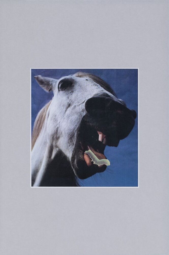 Wat kruipt daar op mijn tong?!