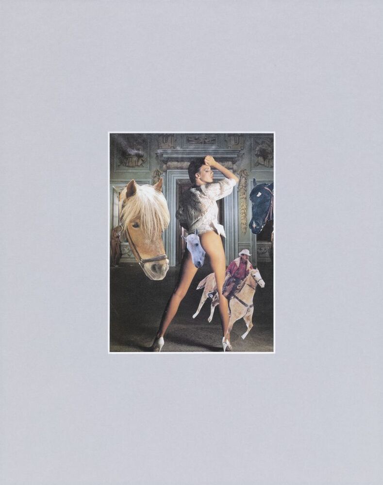 's Nachts in de manege