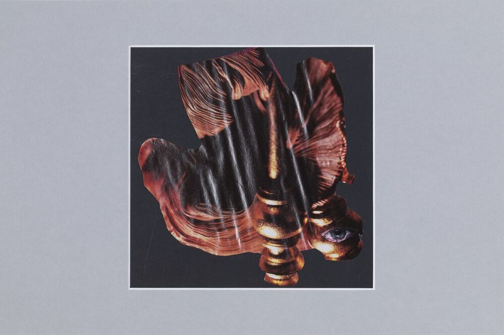 De heer van het carnaval