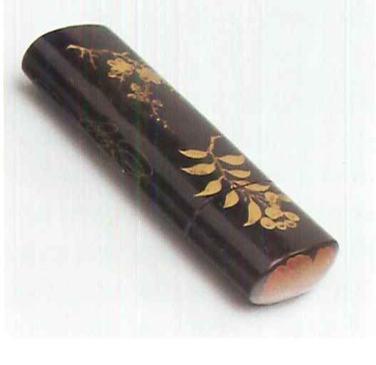 Brillenkoker van lak