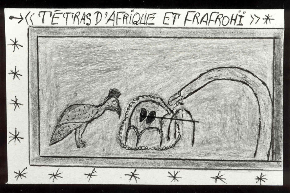 Tétras d'Afrique et Frafrchï