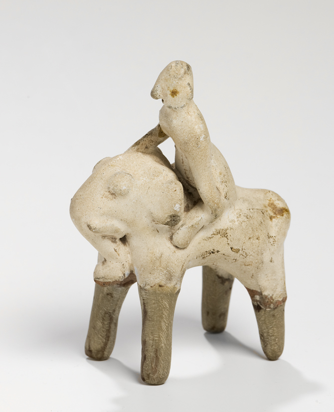 Olifant met berijder