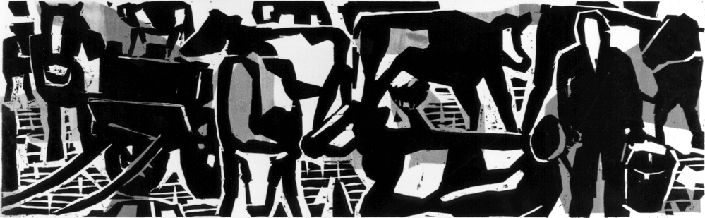 Boer op het land tussen de koeien