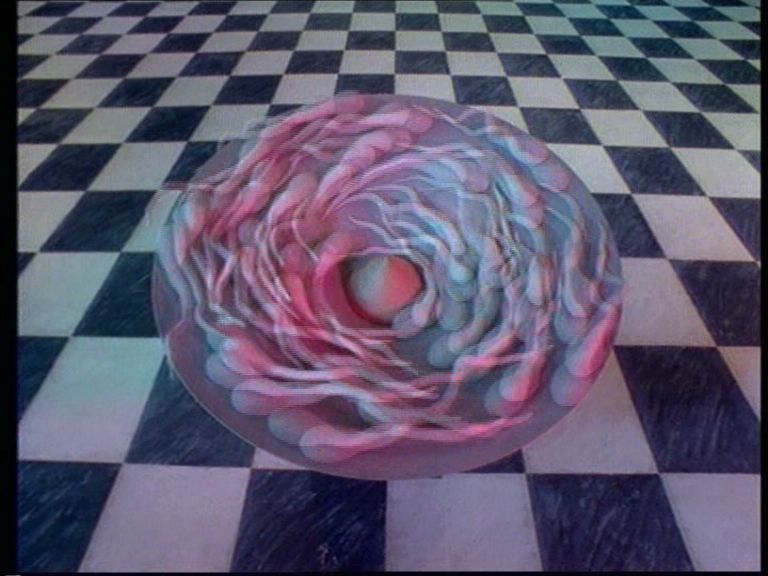 Stop de greenhouse effect