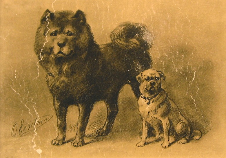 Staande en zittende hond