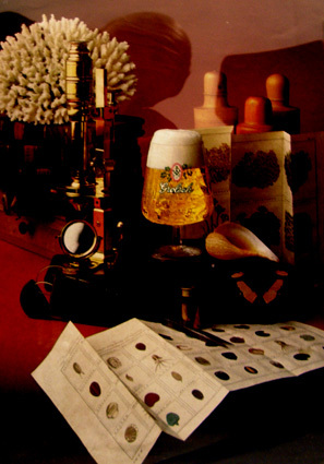 Reclame voor Grolsch - Vakmanschap is meesterschap (koraal,schelp en vlinder)