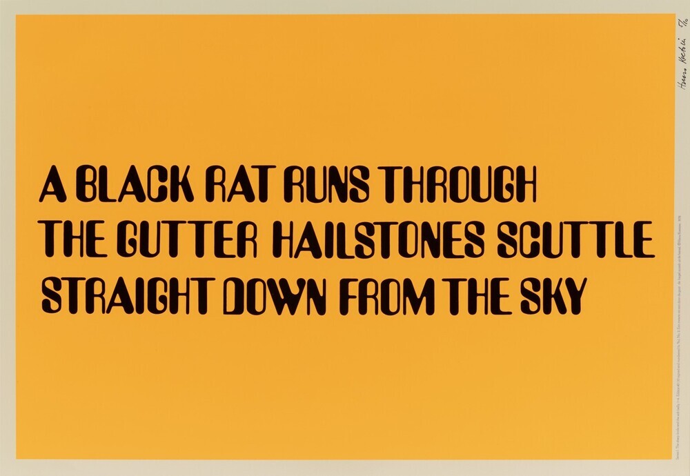 A black rat runs through the gutter Hailstones scuttle down from the sky (uit de serie: The sharp knife and the soft belly)