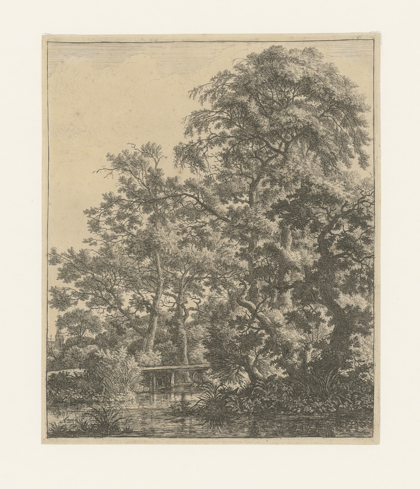 Kleine brug over een beekje