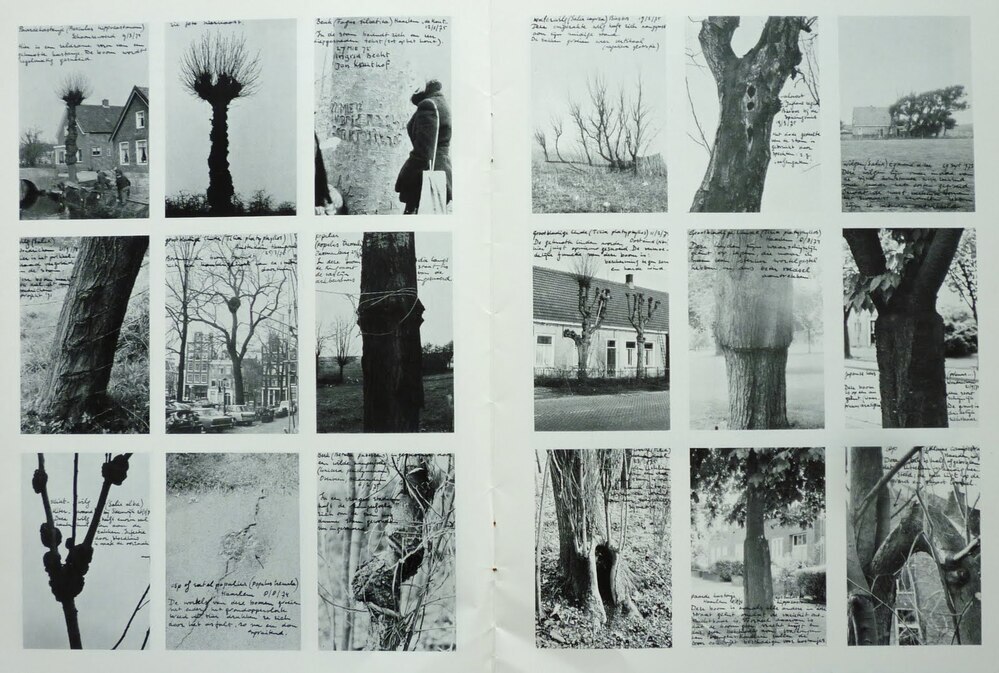 Sjoerd Buisman : [catalogus van de tentoonstelling "Bomenproject Nederland", 1973/1975 en verwante projecten in het] Haags gemeentemuseum, 24 mei - 6 juli 1975