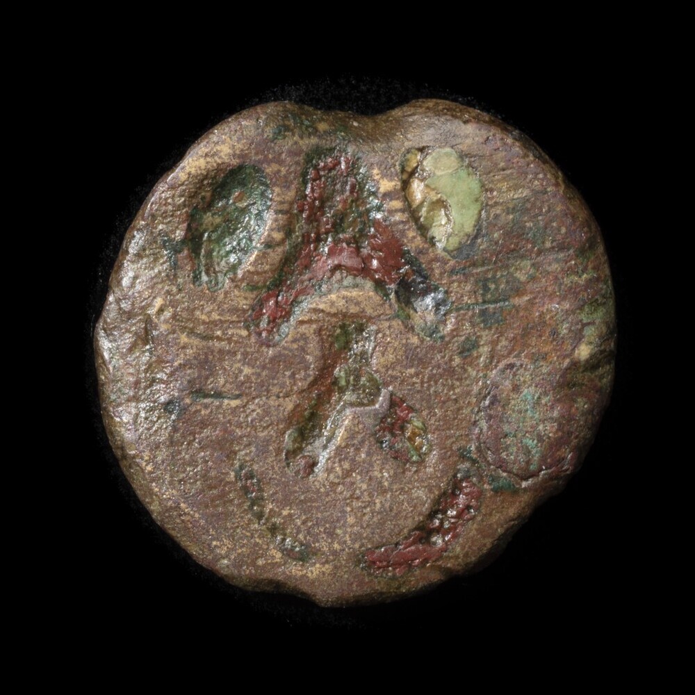 Schijffibula (Warffum)