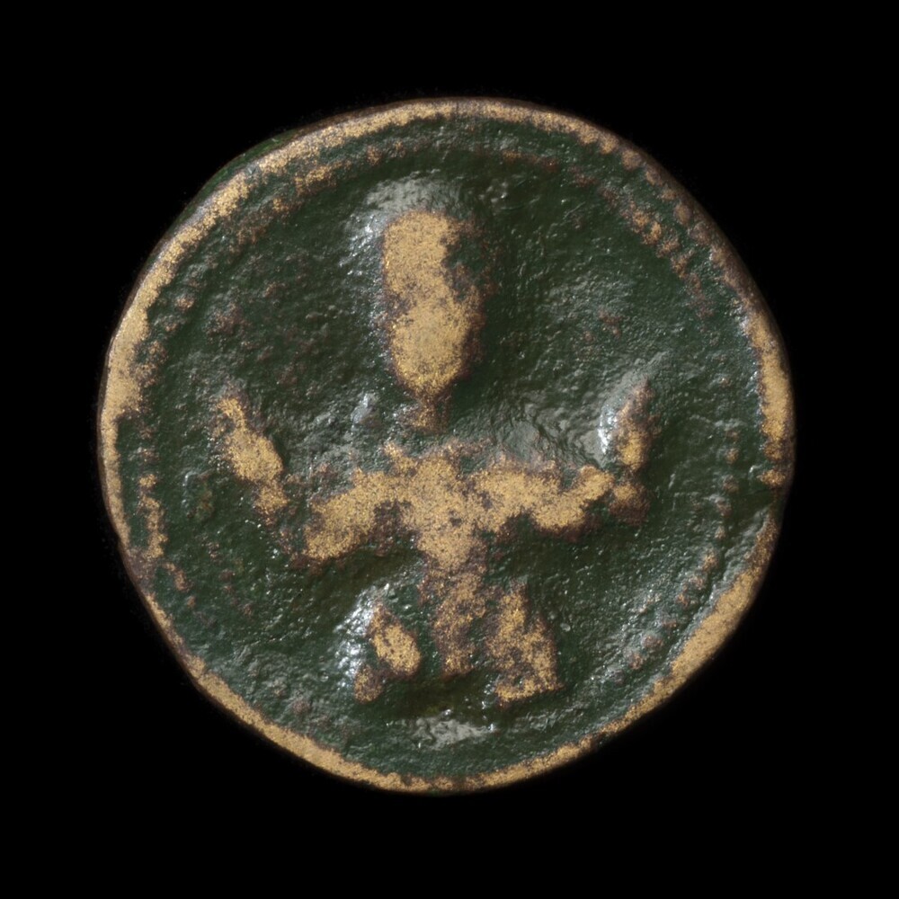 Schijffibula (Warffum)