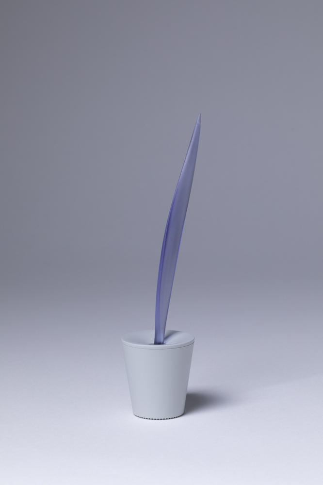 tandenborstel "Dr. Kiss" (PS08 V)