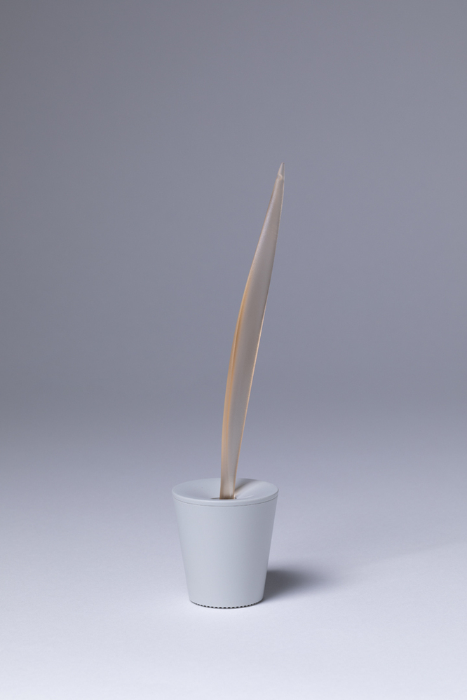 Tandenborsterl "Dr. Kiss" (PS08 O)