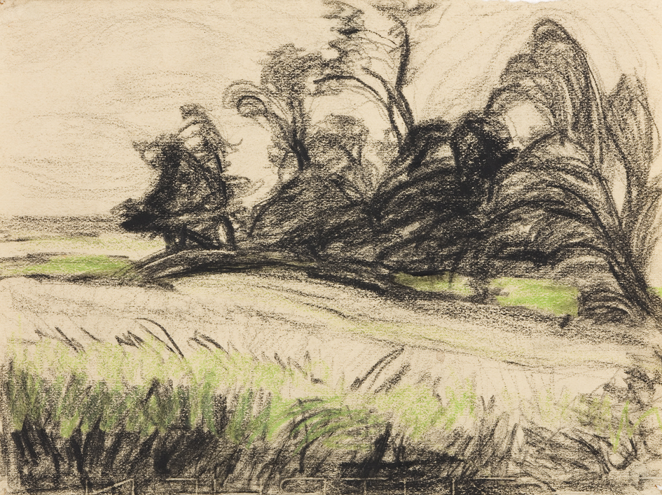 Verwaaide bomen in een glooiend veld