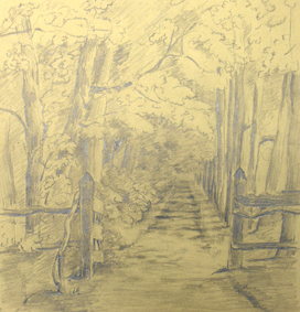 Studie van een boslaan