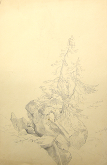 Studie van een rotspartij met bomen