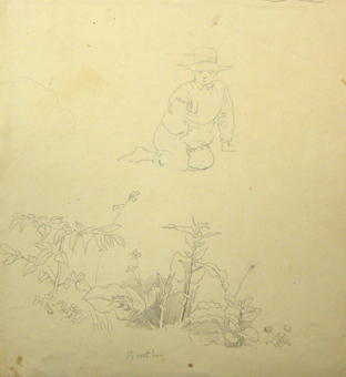 Studie van een zittende jongeman en planten