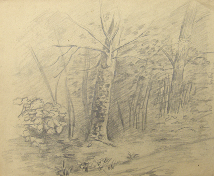 Studie van beplanting