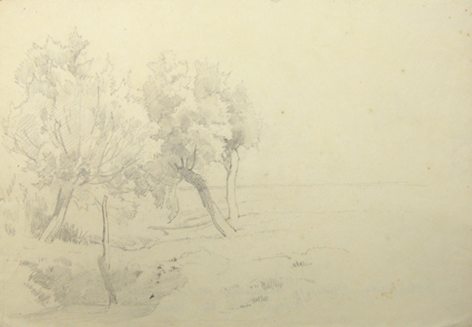 Studie van een landschap