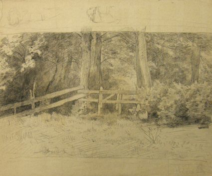 Studie van een bosrand