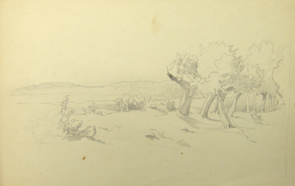 Studie van een landschap