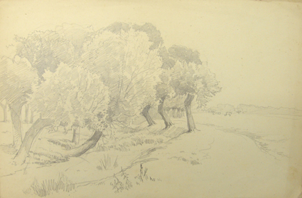 Studie van een landschap