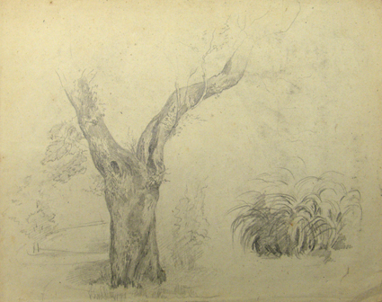 Studie van beplanting