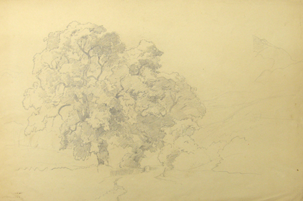 Studie van een landschap