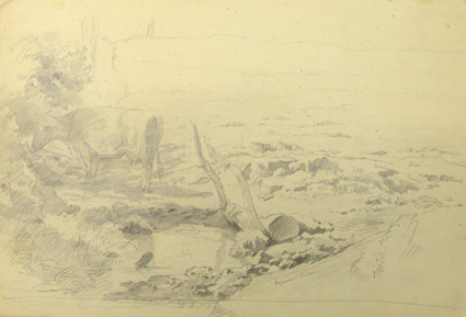 Studie van een landchap